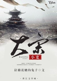 (七五同人)大宋小吏